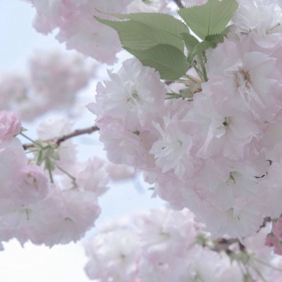 Furry插画构图解析福瑞交流群